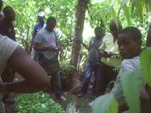 Journée mondiale de l'environnement dans la commune de Gros-Morne