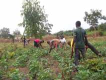 Le camp chantier au Togo: une réussite!