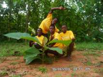 ECOLO ECOLE dans les Régions du TOGO 