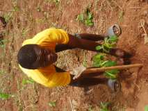 ECOLO ECOLE dans les Régions du TOGO 