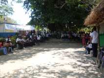 Moyogalpa, Nicaragua: Fiesta del árbol 2011