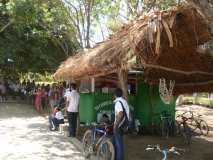 Moyogalpa, Nicaragua: Fiesta del árbol 2011