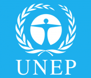 Terre des jeunes accrédité à l'UNEP (ONU)