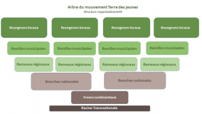 Structure organisationnelle de Terre des Jeunes