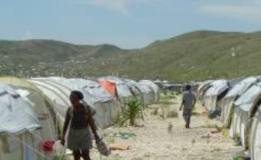 Camp de Corail Cesse Lesse (Haïti): Le rapport final de la Fête de l'Arbre 2010