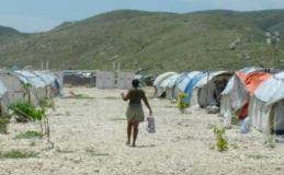 Camp de Corail Cesse Lesse (Haïti): Le rapport final de la Fête de l'Arbre 2010