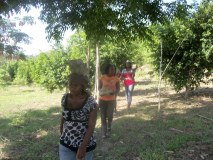 Gros-Morne: Preparation pour la construction siège social AJGR