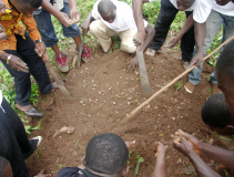 TOGO: Fête de l'arbre 2011: « Planter un arbre, c’est valoir son existence »