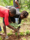 TOGO: Fête de l'arbre 2011: « Planter un arbre, c’est valoir son existence »