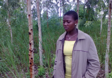 TOGO: Fête de l'arbre 2011: « Planter un arbre, c’est valoir son existence »