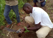 TOGO: Fête de l'arbre 2011: « Planter un arbre, c’est valoir son existence »