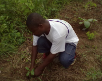 TOGO: Fête de l'arbre 2011: « Planter un arbre, c’est valoir son existence »