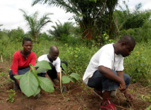 TOGO: Fête de l'arbre 2011: « Planter un arbre, c’est valoir son existence »