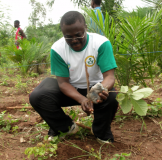 TOGO: Fête de l'arbre 2011: « Planter un arbre, c’est valoir son existence »