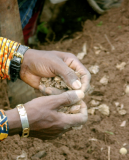 TOGO: Fête de l'arbre 2011: « Planter un arbre, c’est valoir son existence »