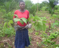 TOGO: Fête de l'arbre 2011: « Planter un arbre, c’est valoir son existence »