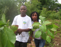 TOGO: Fête de l'arbre 2011: « Planter un arbre, c’est valoir son existence »