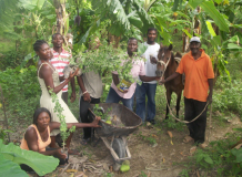 AJGR: plantation de 70 plants de cerises