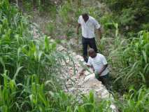 Gonaïves: suivi à PasseReine, PAM projet