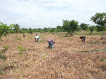 Le camp chantier au Togo: une réussite!