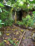 Nicaragua : Un habitat écologique dans un havre de verdure