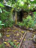 Nicaragua : Un habitat écologique dans un havre de verdure