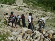 Terre des Jeunes Gonaïves et PAM (faz 2)