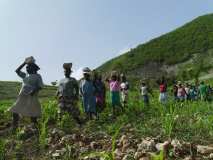 Terre des Jeunes Gonaïves et PAM (faz 2)