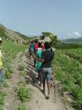 Terre des Jeunes Gonaïves et PAM (faz 2)