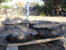 Jardin scolaire aux Gonaives