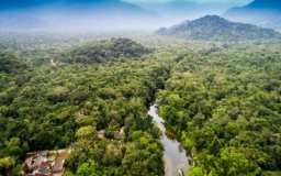 Célébrons la journée mondiale de la biodiversité