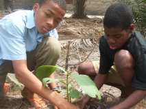 TOGO -- Si L’ECORETRAITE 2010 de SEVEHO DZEMEKE m’était contée