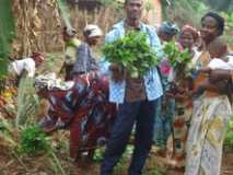 Action avec les femmes rurales pour la production biologiques.