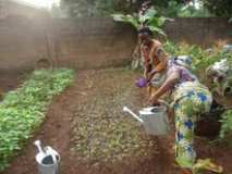 Action avec les femmes rurales pour la production biologiques.